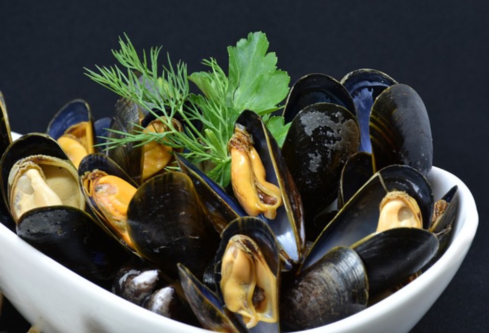 MUSSELS AND CHIPS
