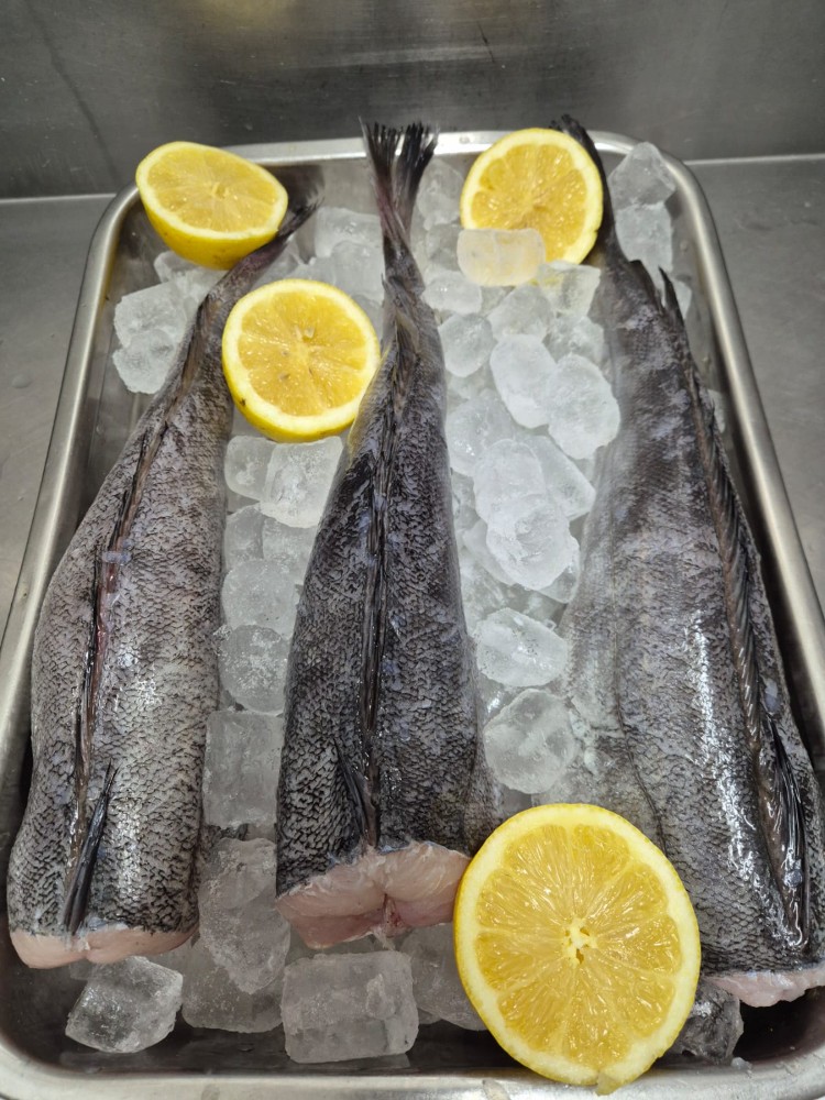 Fresh Hake Whole