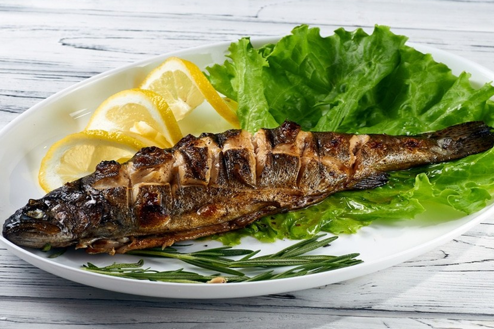 Форель райдужна