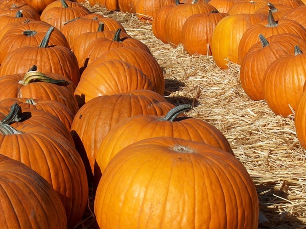 Frappé de Pumkin Spiced