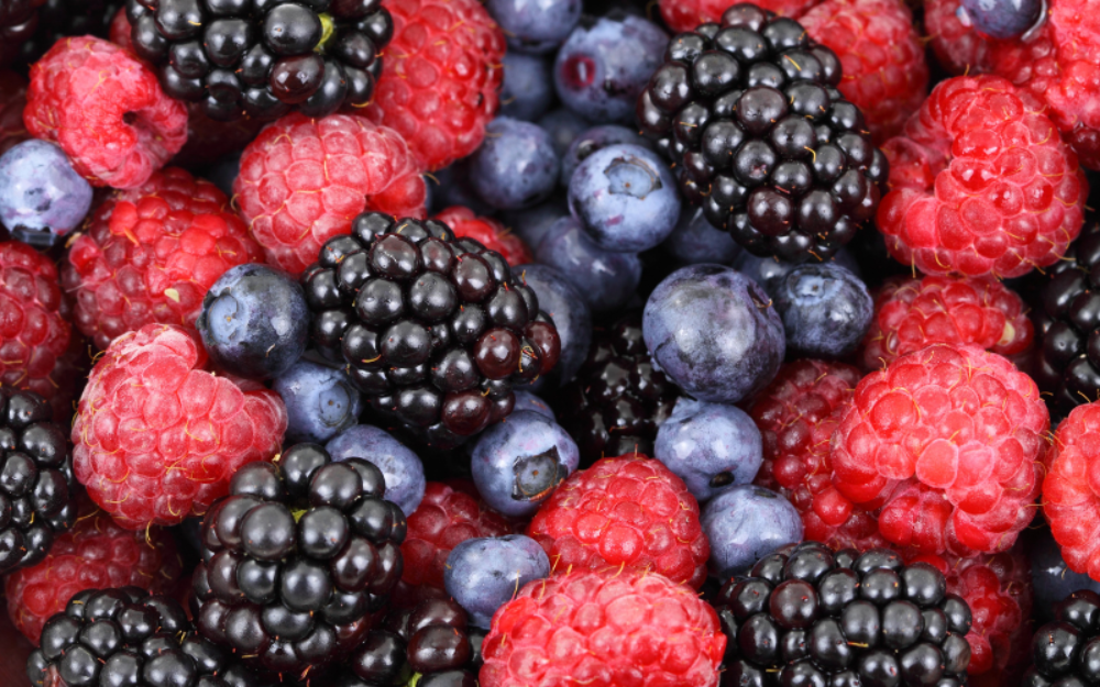 Infusión Moras 12oz