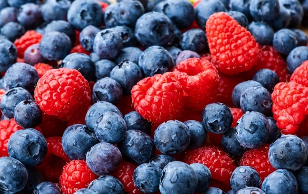 Infusión Moras 16oz