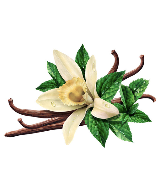 Vanilla