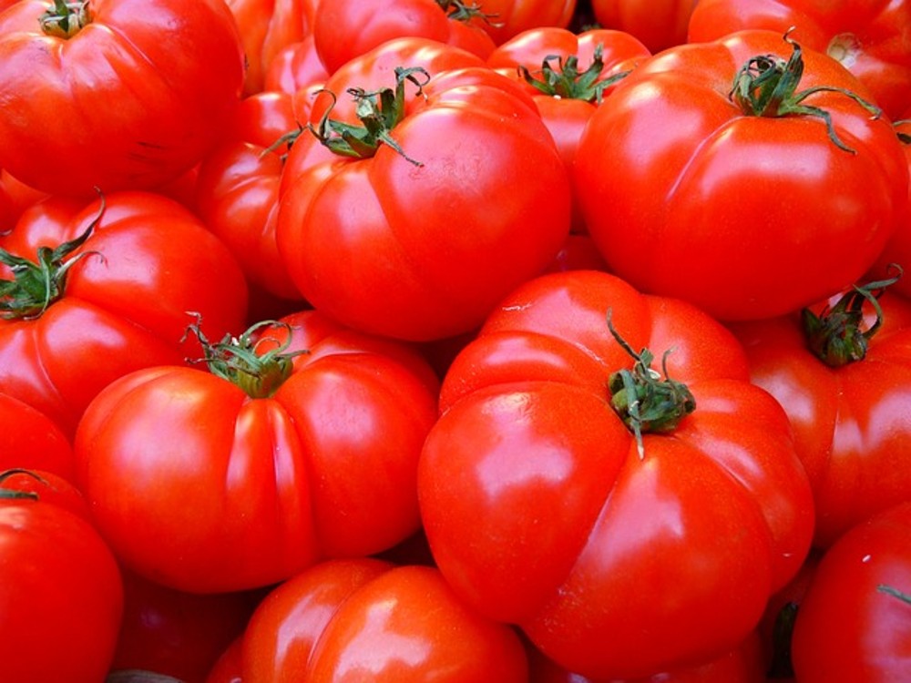 TOMATE