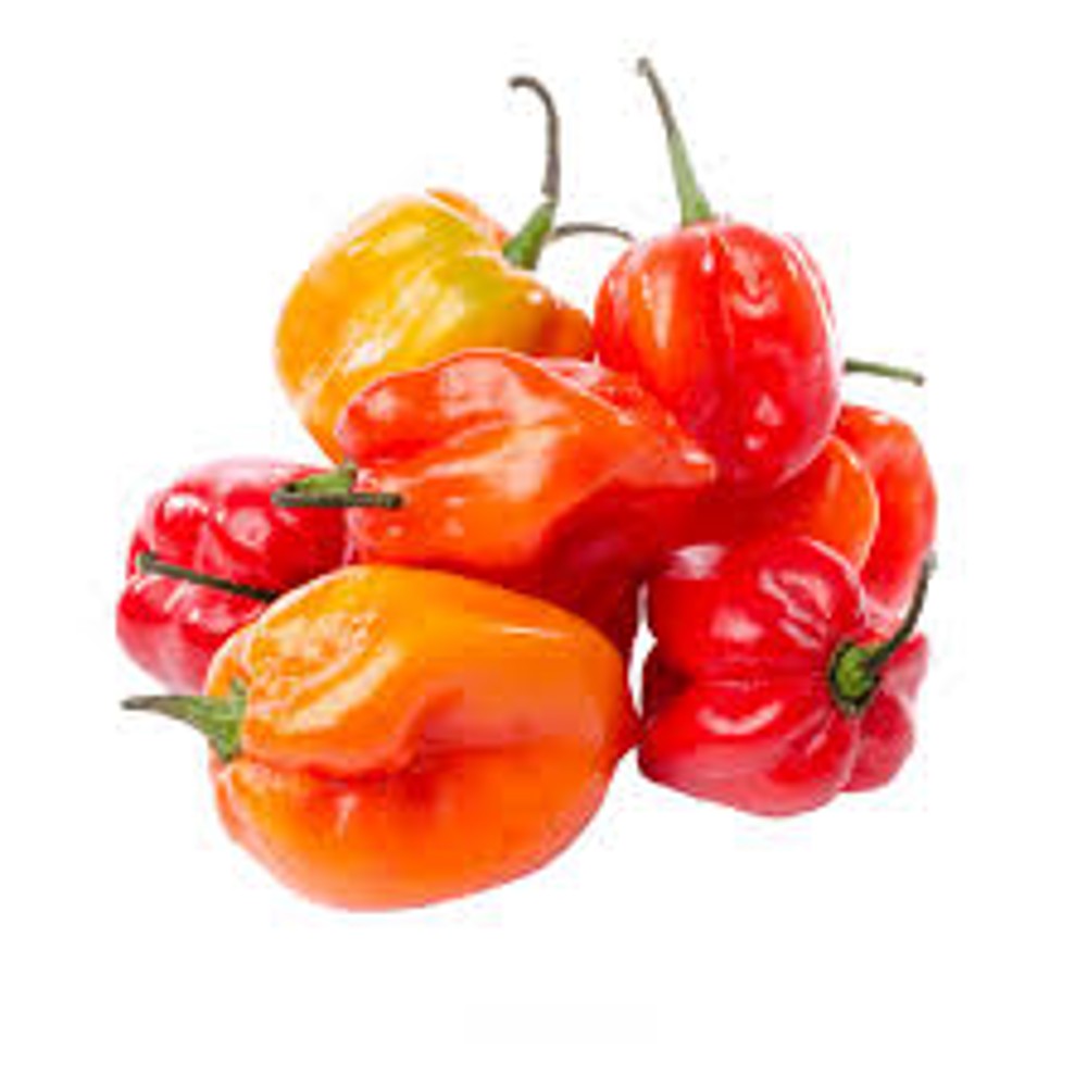 Chile Habanero