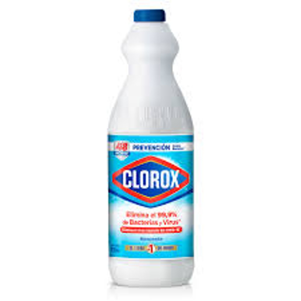 Clorox 930Ml