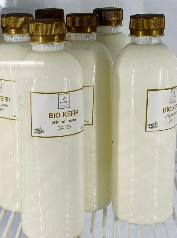 Kefir BIO 500ML