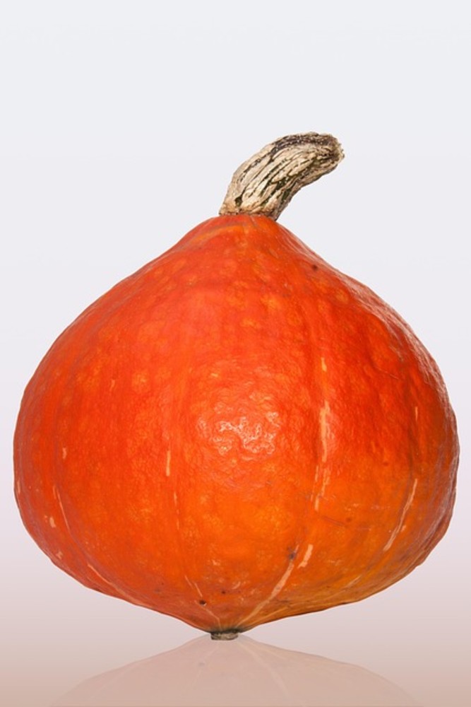 Pumpkin Fried 120 gr