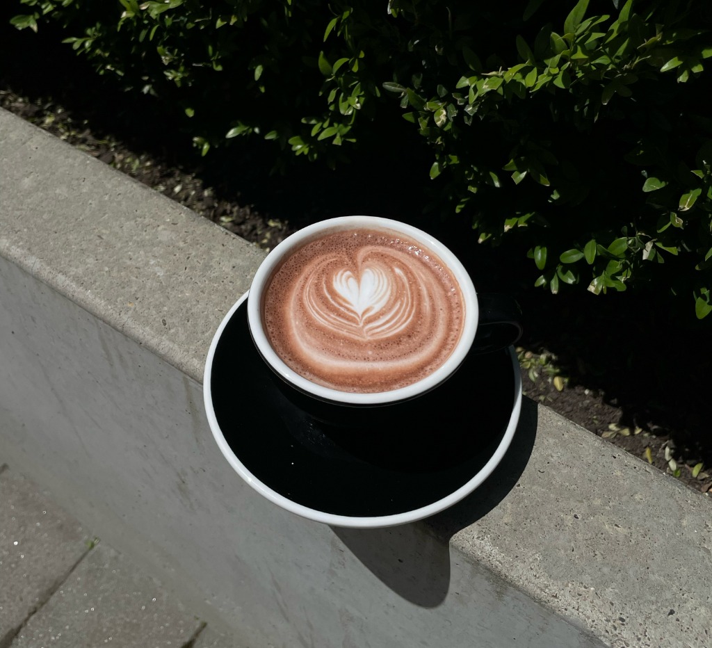 Какао L