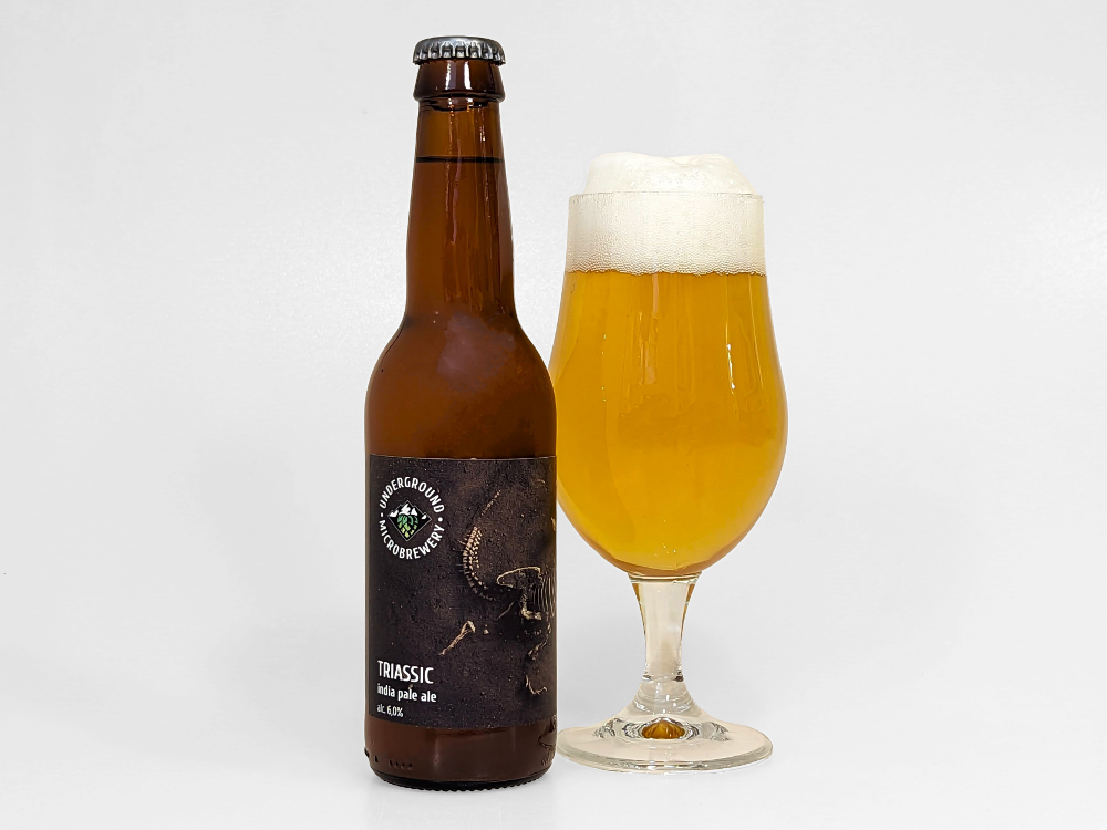 TRIASSIC 6,0% IPA