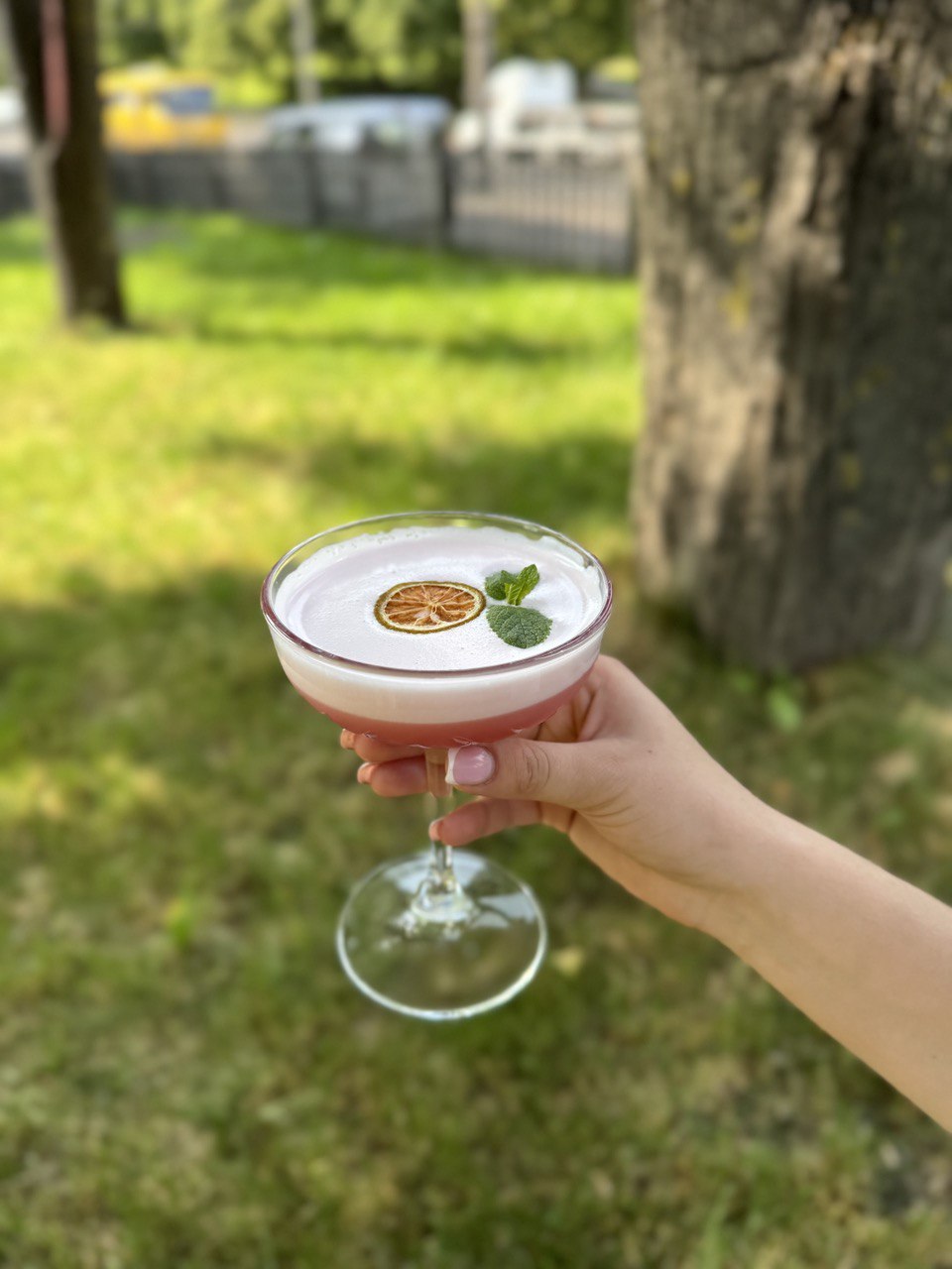 Clover Club