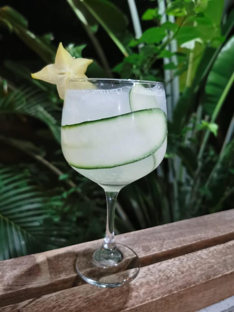 Gin Tonic