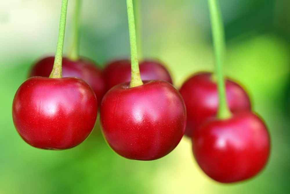 Cherry Chouffe | bottle 0,33