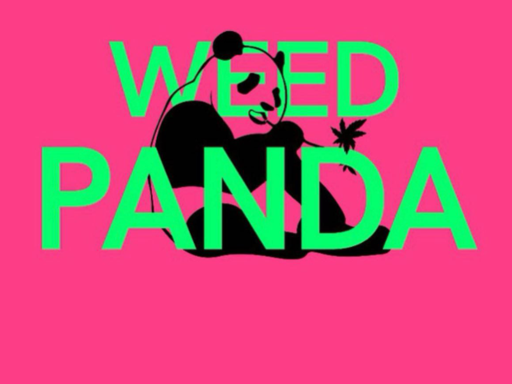 Blackberry | Weed Panda