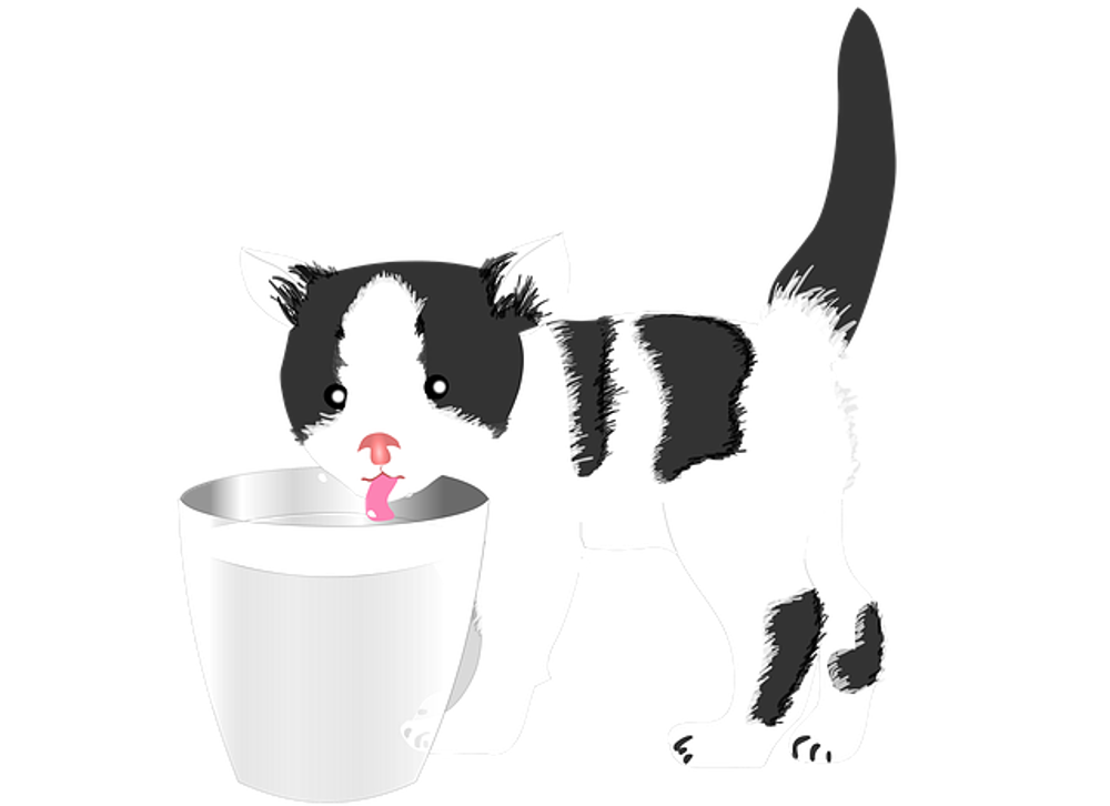 Staff milk
