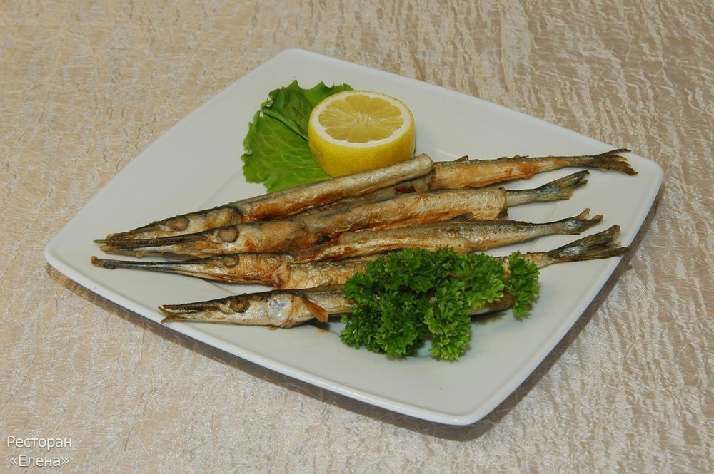 Сарган Чорноморский
