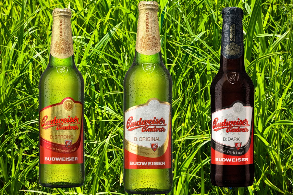 Пиво "Budweiser" светлое пиво