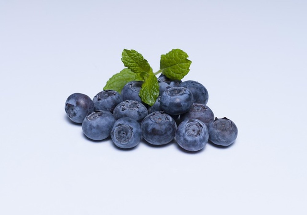 Blueberry Fresh 40 gr