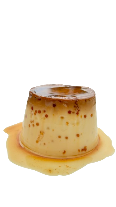 QUESILLO ARTESANAL