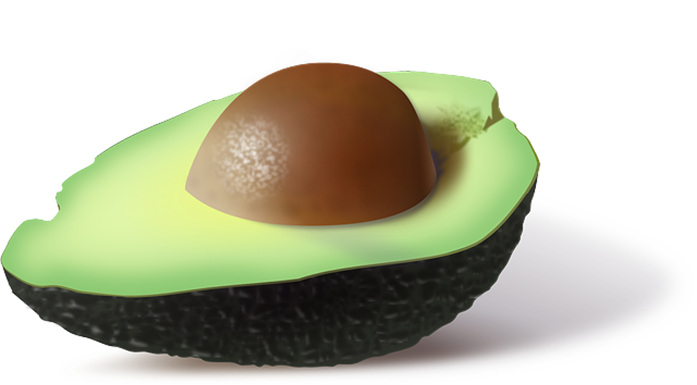 Avokado