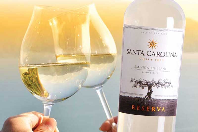 COPA DE VINO SANTA CAROLINAN RESERVA SAUVIGNON BLANC