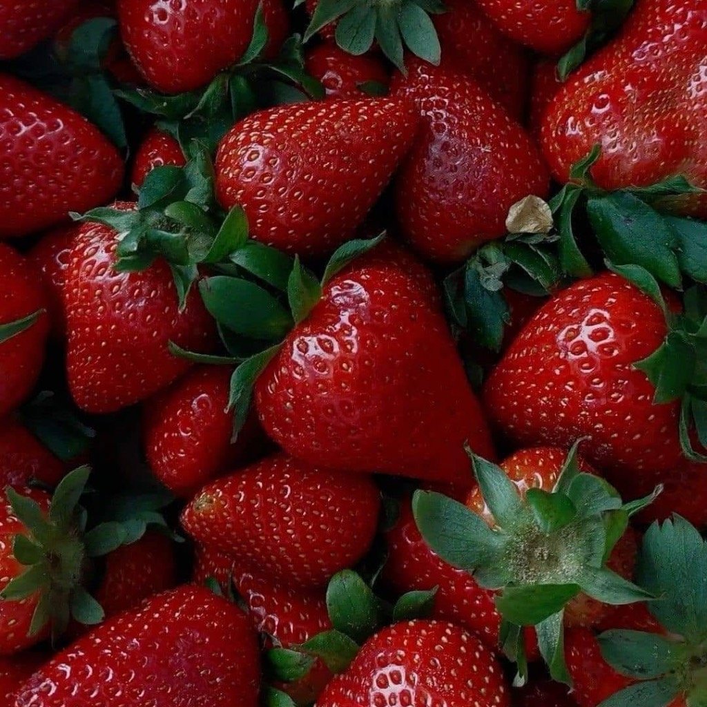 ПОЛУНИЦЯ 
