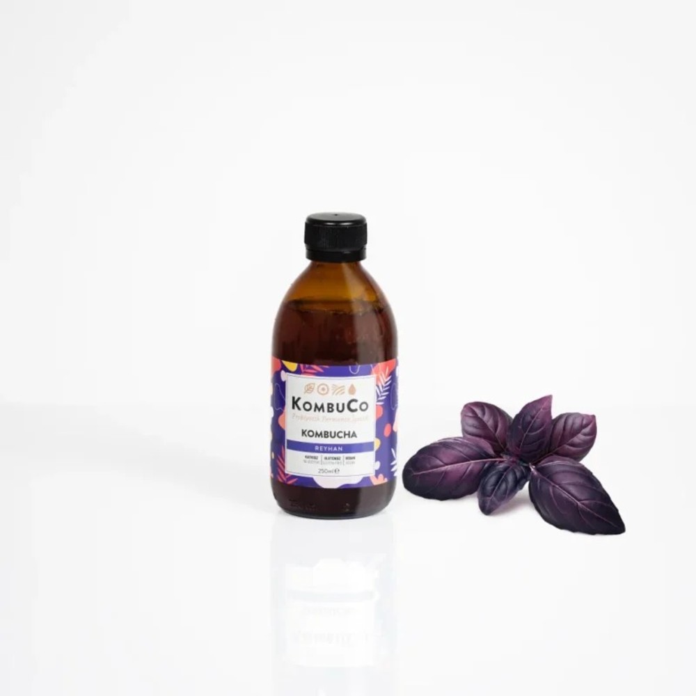 Kombucha Reyhan