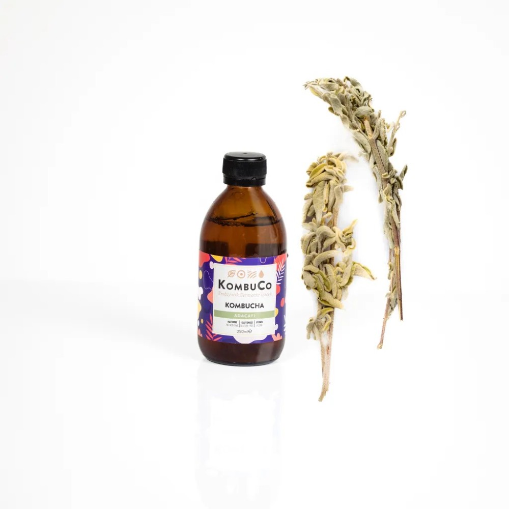 Kombucha Adacayi