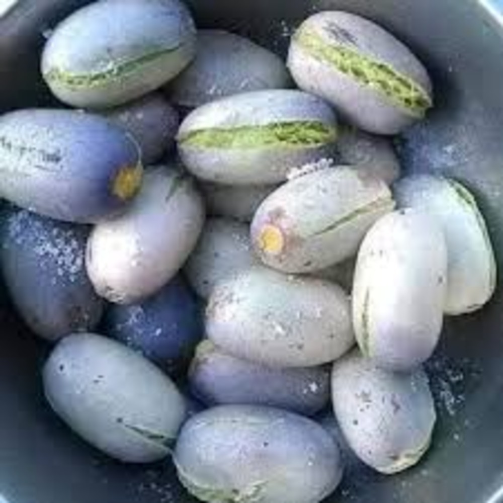 Safou (en saison)