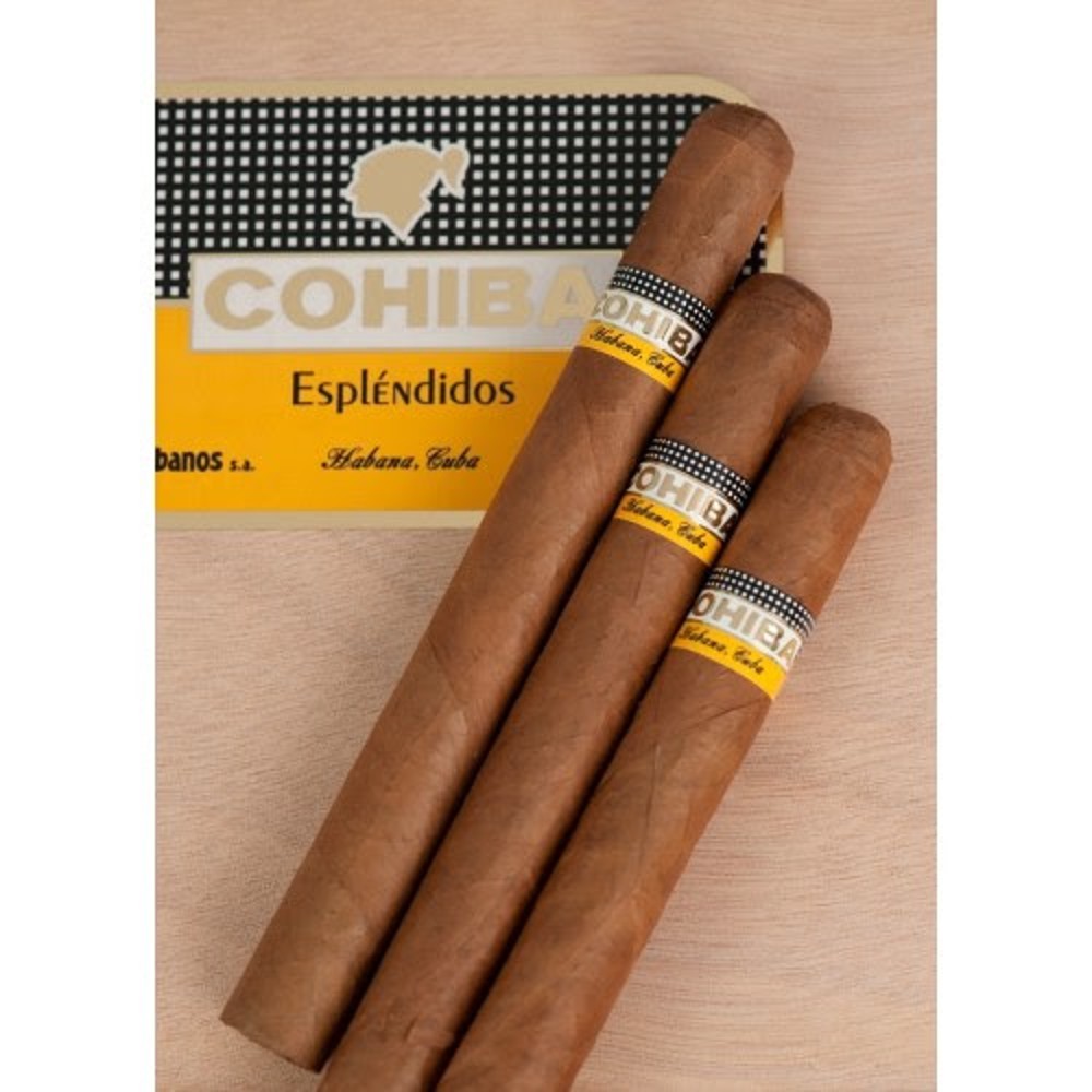 Cohiba esplendidos Petit