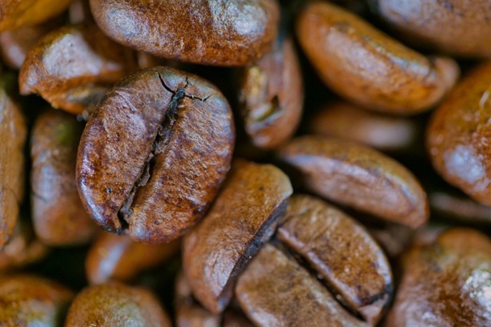 Special Coffee Beans