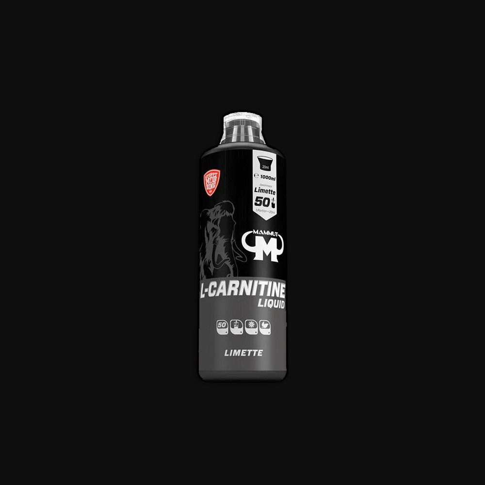 Mammut L-Carnitine 1000ml