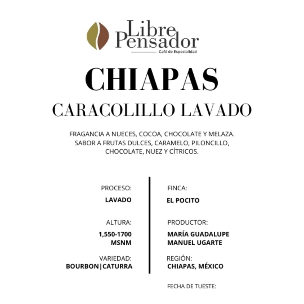 Caracolillo Lavado