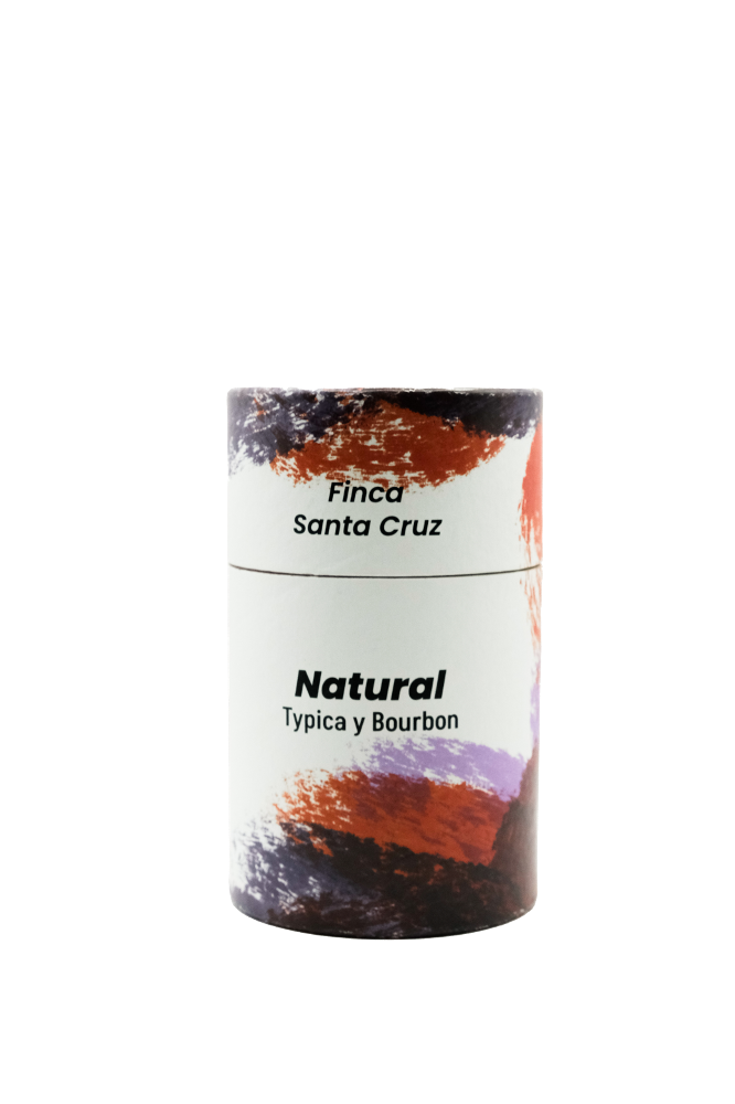 Chiapas Natural Santa Cruz