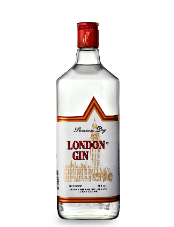 Gin