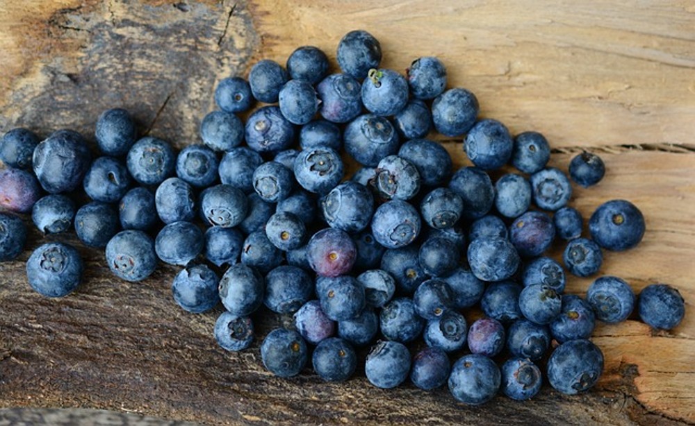 Energade Blueberry 500ml