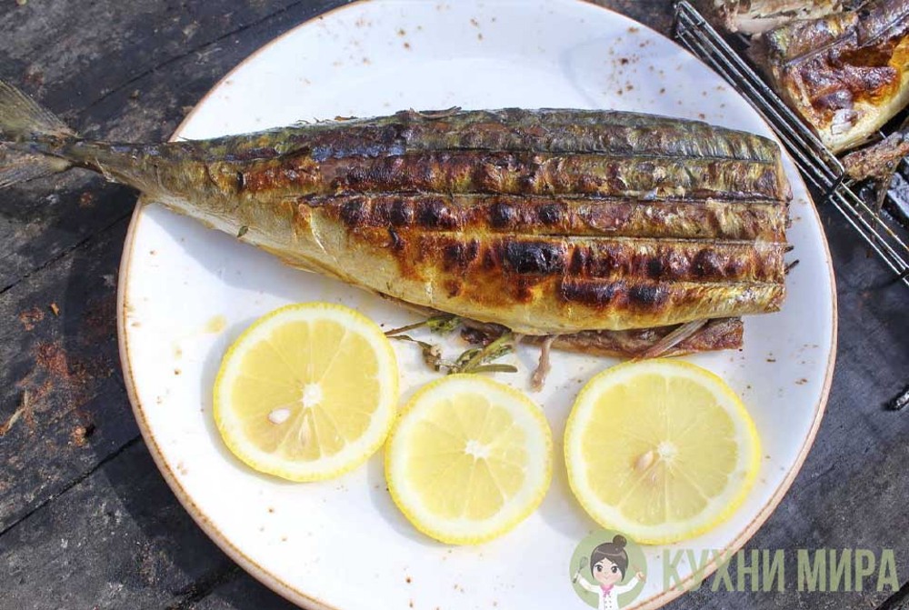 Скумбрія на мангалі