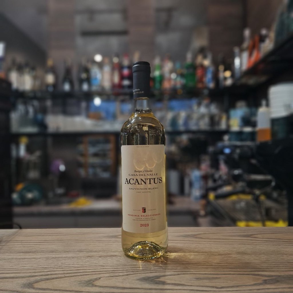 Вино сухе біле Akantus Bodegas Olarra, 125мл
