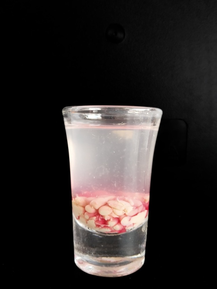 Monkey Brain