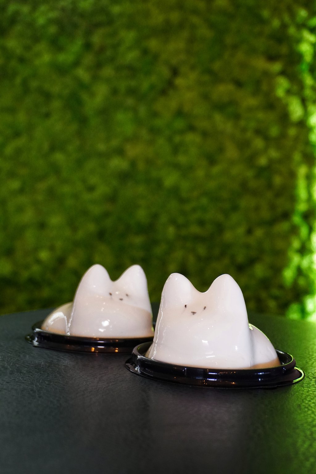 Панакотик
