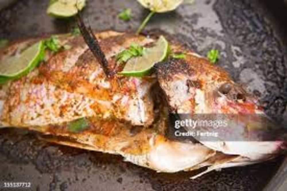 RED SNAPPER (LARGE)