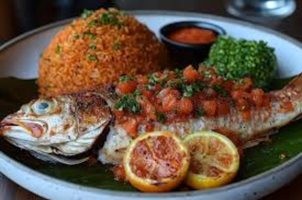 RED SNAPPER 230 (JOLLOF)