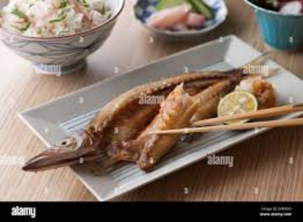 BARRACUDA 420(JOLLOF)