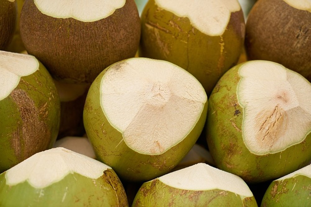 FRESH COCONUT