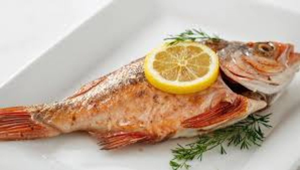 RED SNAPPER FISH 220