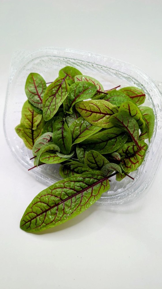 Паростки щавель