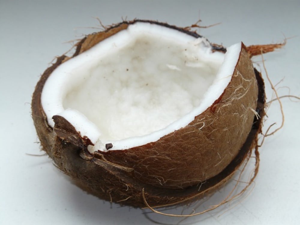 Coco - s