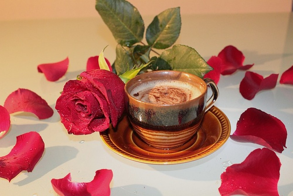 Rosas - cafe