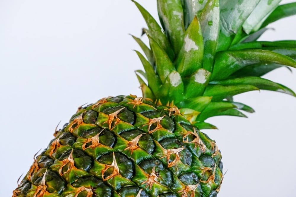 Smoothie Piña