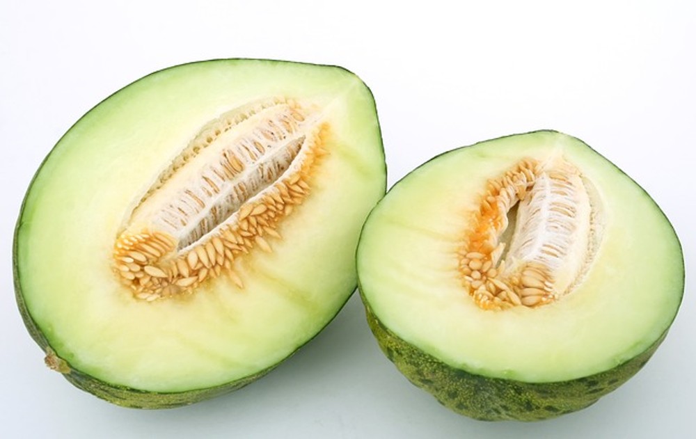 Melon Verde FT